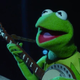 Photo: Kermit The Frog (Funny Or Die)